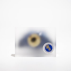 Une buste de femme en faïence de Delft bleu et blanc, 18ème — photo 6