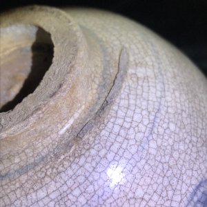 Une collection de 13 pièces en céramique de Vietnam, 14/15ème — photo 27