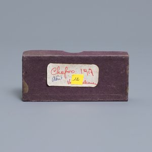 Une collection de photos sur plaques de verres stéreo de scènes chinoises, début du 20ème — photo 47