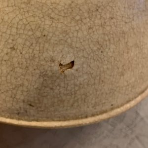 Une collection variée en grès porcelaineux à couverte qingbai et crème, Song et après — photo 15