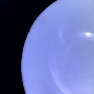 Une collection variée en porcelaine de Chine 'Bleu de Hue' pour le Vietnam, 19ème — photo 10