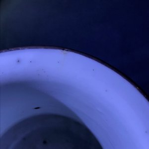 Une collection variée en porcelaine de Chine 'Bleu de Hue' pour le Vietnam, 19ème — photo 15