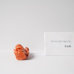 Une figure de Shou Lao en corail rouge, Chine, 19/20ème — photo 12