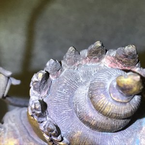 Une figure d'Ushnishavijaya en bronze doré incrusté, Sino-Tibet, 17/18ème — photo 22