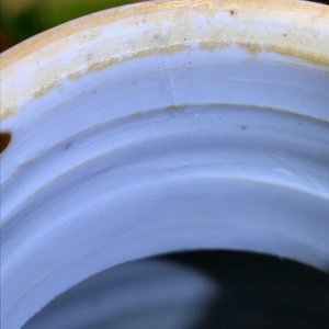 Une garniture de cinq vases en porcelaine de Chine 'lait et sang', Kangxi — photo 23