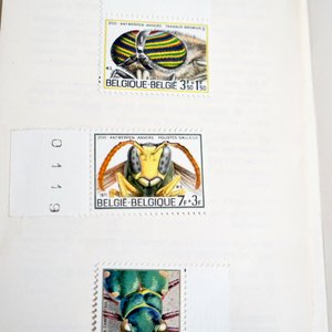 Une grande collection de timbres et monnaies, la plupart Belgique et Congo Belge — photo 4