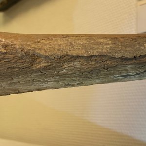 Une grande figure de Christ en bois sculpté et polychromé, Flandres, 1er quart du 16ème — photo 61