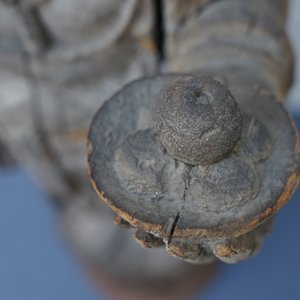 Une grande figure de Guanyin en bois sculpté, Chine, Ming — photo 14