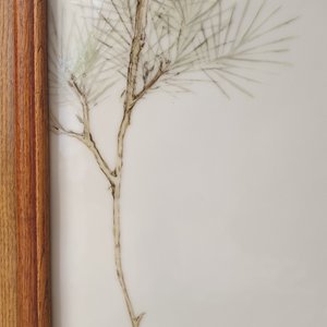 Une grande plaque en porcelaine de Chine à décor d'un oiseau sur une branche fleurie, marquée, République — photo 11
