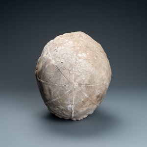 Une grande tête de prélat en marbre sculpté, Italie, 17ème — photo 3