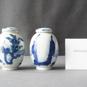 Une paire de boîtes à thé en porcelaine de Chine en bleu et blanc, Kangxi — photo 8