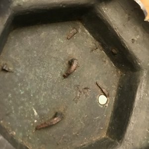Une paire de bougeoirs en bronze, Chine, Ming — photo 29