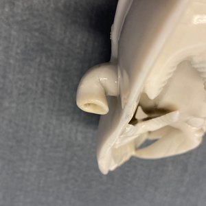 Une paire de compte-gouttes en forme de crabe en porcelaine blanc de Chine de Dehua, Kangxi — photo 23