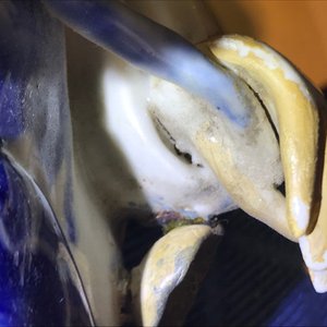 Une paire de figures en porcelaine de Chine bleu et blanc pour le Vietnam, 19ème — photo 22