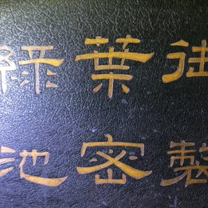 Une paire de grands panneaux en bois laqué incrusté d'ivoire avec des poèmes, Chine, Qianlong — photo 16