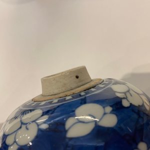Une paire de jarres et une théière couverte en porcelaine de Chine en bleu et blanc, Kangxi — photo 17