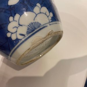 Une paire de jarres et une théière couverte en porcelaine de Chine en bleu et blanc, Kangxi — photo 18