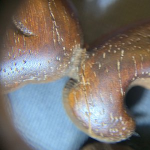 Une paire de panneaux ajourés en bois sculpté, 18/19ème — photo 18