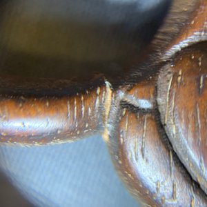 Une paire de panneaux ajourés en bois sculpté, 18/19ème — photo 20
