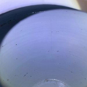 Une paire de pots couverts en porcelaine de Chine en bleu et blanc, 19ème — photo 9