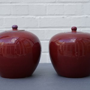 Une paire de pots couverts en porcelaine de Chine sang de boeuf, 19ème — photo 20
