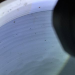 Une paire de pots en porcelaine de Chine bleu et blanc aux couvercles en bois, 18/19ème — photo 9
