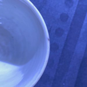 Une paire de tasses et soucoupes en porcelaine de Chine famille rose à sujet européen, Qianlong — photo 22