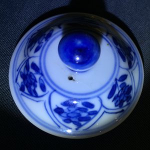 Une paire de théières en porcelaine de Chine bleu et blanc, Kangxi — photo 9