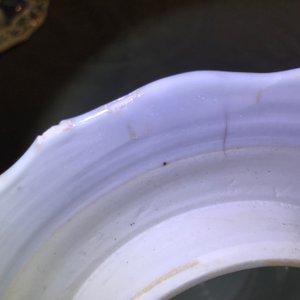 Une paire de vases couverts en porcelaine de Chine bleu et blanc, Kangxi — photo 13
