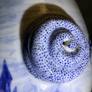 Une paire de vases en porcelaine de Chine bleu et blanc à décor marin, marque de Kangxi, 19ème — photo 8
