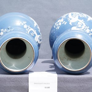 Une paire de vases en porcelaine de Chine en bleu monochrome décorés en engobe blanche, Chine, 19ème — photo 10