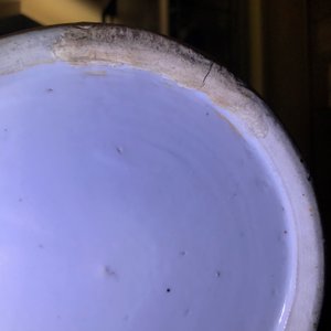 Une paire de vases en porcelaine de Chine famille rose, 19ème — photo 12