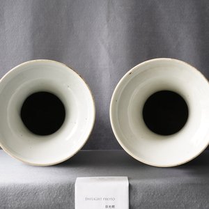 Une paire de vases en porcelaine de Chine famille rose à décor d'oiseaux, 19ème — photo 9