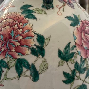 Une paire de vases en porcelaine de Chine famille rose à décor d'oiseaux parmi branches fleuries, 19ème — photo 26