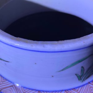 Une paire de vases en porcelaine de Chine famille verte, Kangxi — photo 17