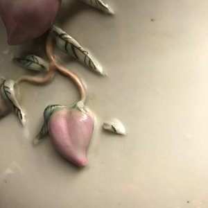 Une paire de vases en porcelaine de Chine qianjiang cai à décor de chiens Pékinois, 19ème — photo 10