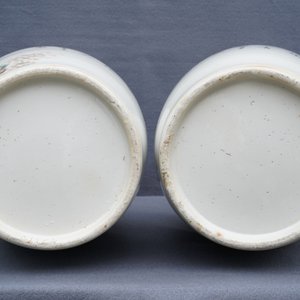 Une paire de vases en porcelaine de Chine qianjiang cai à décor de chiens Pékinois, 19ème — photo 15