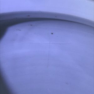 Une paire d'urnes en porcelaine de Chine famille verte, 19ème — photo 12