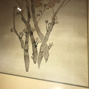 Une peinture chinoise sur soie figurant des pivoines, 19ème — photo 11