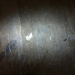 Une peinture rouleau sur papier figurant un ensemble floral, Chine, 18/19ème — photo 15