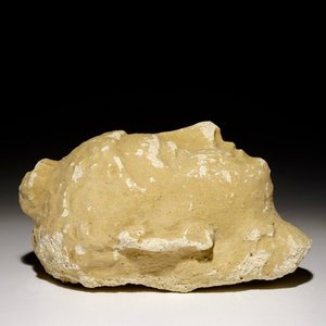 Une petite tête de Bouddha stucco, prob. Gandhara, Inde, 10/11ème — photo 2