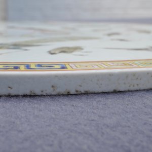 Une plaque en porcelaine de Chine famille rose à décor d'oiseaux, 19ème — photo 8