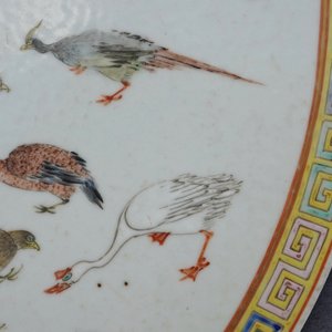Une plaque en porcelaine de Chine famille rose à décor d'oiseaux, 19ème — photo 10