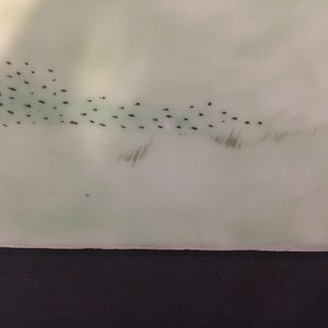 Une plaque en porcelaine de Chine famille rose avec une scène de jardin, 19/20ème — photo 4