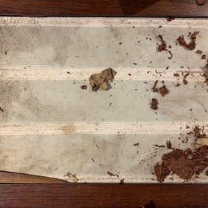 Une plaque en porcelaine de Chine grisaille dans un écran de table en bois, République, 20ème — photo 34