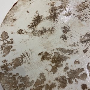 Une plaque en porcelaine de Chine qianjiang cai, 19/20ème — photo 9