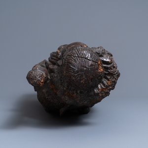 Une statue d'un ange aux Instruments de la Passion en chêne sculpté, Brabant, Pays-Bas du Sud, début du 15ème — photo 8