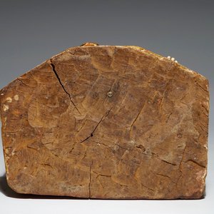 Une statuette de Sainte Anne en ivoire et bois sculpté et doré, Europe du Sud, 17/18ème — photo 6