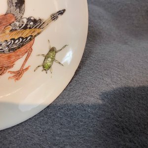 Une tasse et soucoupe en porcelaine de Chine famille rose à décor d'un oiseau entouré d'insectes, Yongzheng — photo 12