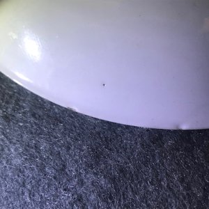 Une tasse et soucoupe en porcelaine de Chine famille rose à décor d'une musicienne, Yongzheng — photo 20